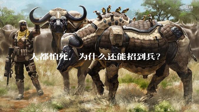 人都怕死，为什么还能招到兵？